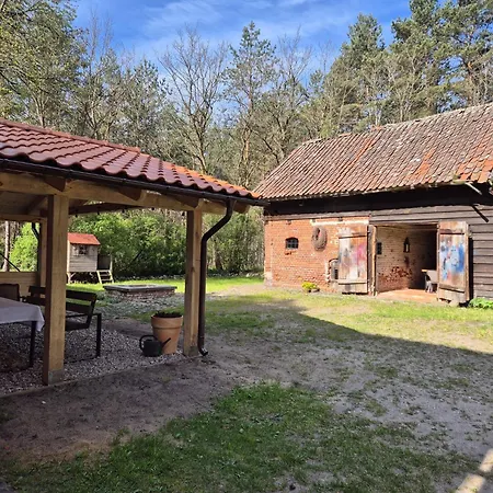 Klonówka * Zawada (Chojnice)