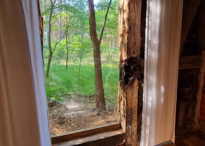 Фермерский дом Klonowka